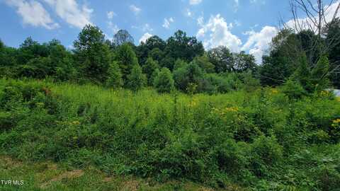 00 Drystone Branch Road, Mountain City, TN 37683