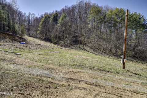 Tbd T Greer Road, Mountain City, TN 37683