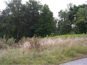 0 Lake Pointe Drive, Lot 9, Abingdon, VA 24210