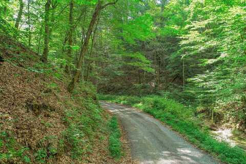 000 Rocky Hollow Road, Rogersville, TN 37857