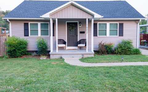 1602 East Unaka Avenue, Johnson City, TN 37601