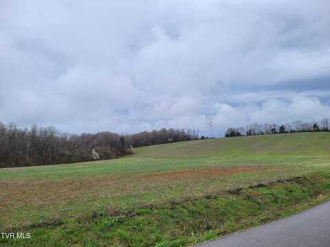 Lot 1 Gravel Hill Road, Limestone, TN 37681