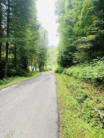 Tbd Samps Hollow Road, Elizabethton, TN 37643