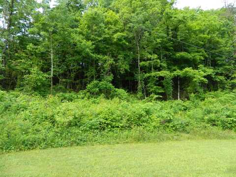 0 Little Valley Road, Kingsport, TN 37660