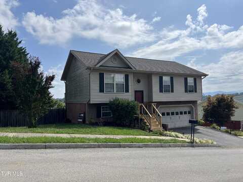 90 Lorena Lane, Jonesborough, TN 37659