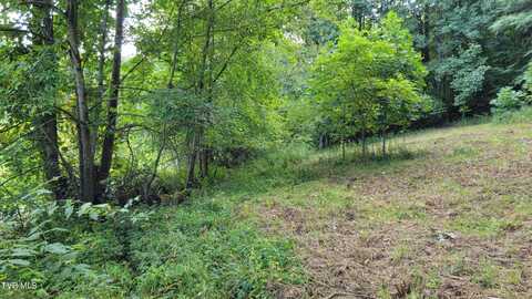 00 Drystone Branch Road, Mountain City, TN 37683