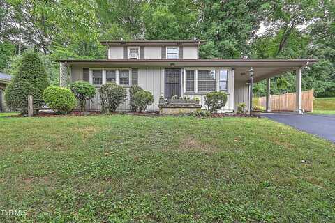 1529 Valley Drive, Bristol, TN 37620