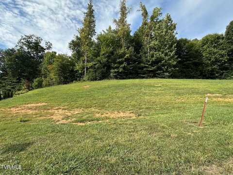 Lot 5 Momma Lou Court, Jonesborough, TN 37659