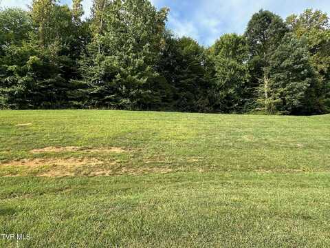 Lot 6 Momma Lou Court, Jonesborough, TN 37659