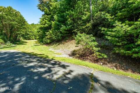 000 Ivywood Lane, Mountain City, TN 37683