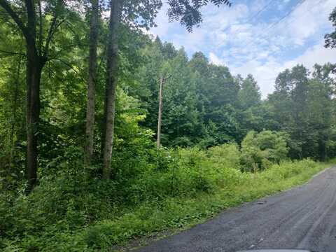 289 Early Branch Road, Rogersville, TN 37857