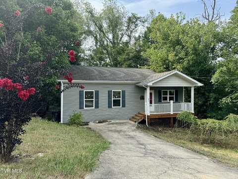 209 Ruth Street, Bristol, TN 37620