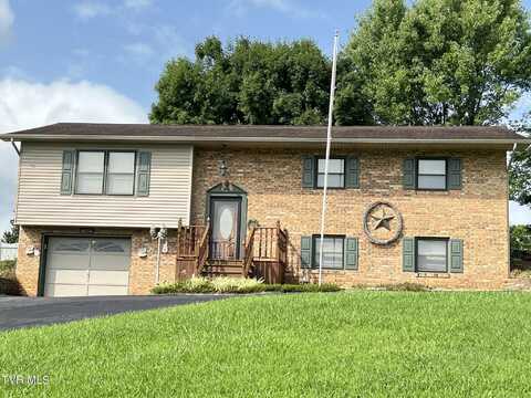 117 Carolyn Avenue, Fall Branch, TN 37656