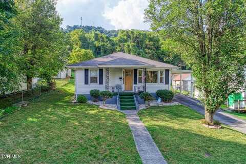 102 Watterson Street, Rogersville, TN 37857