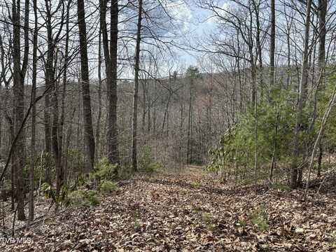 00 Sprucy Ridge Private Road, Mountain City, TN 37683