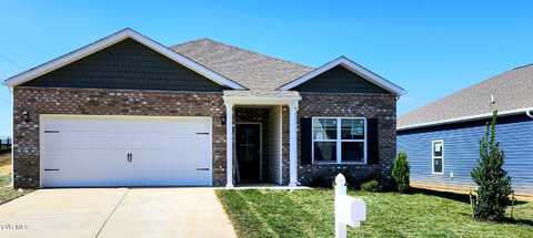 89 Thistle Drive, Bluff City, TN 37618