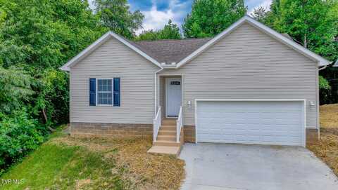 170 Brighton Place, Bristol, TN 37620