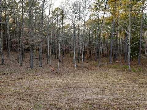 Lot 9 Stately Oaks Dr, HUNTINGDON, TN 38344