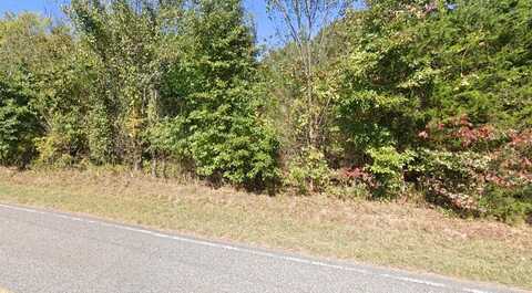 Buena Vista Rd., BUENA VISTA, TN 38344