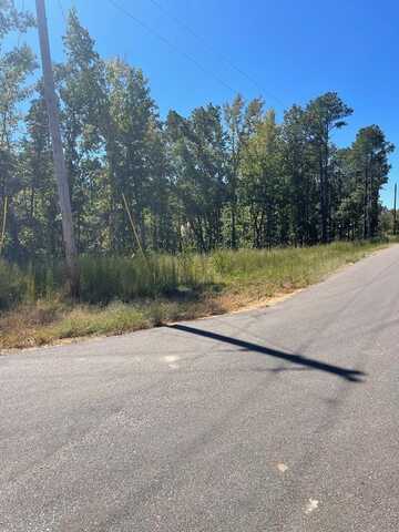 Beach Bluff Ln (LOT 25), HUNTINGDON, TN 38344