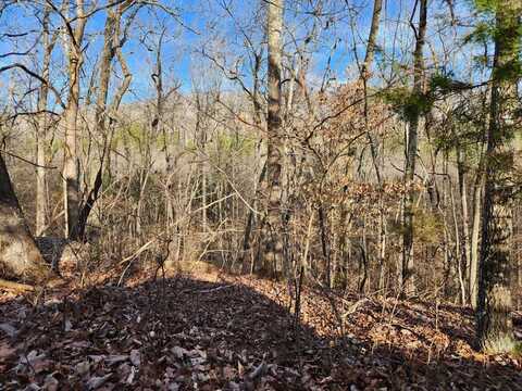 Lakeview Trail, HOLLADAY, TN 38341