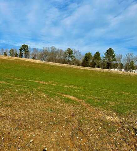 Lot 15 Abby Lane, HUNTINGDON, TN 38344