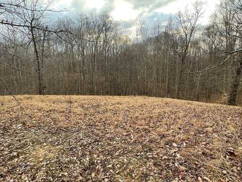 COPPER SPRINGS RD, SPRINGVILLE, TN 38256