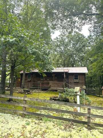 335 Ramblingwood Drive, BIG SANDY, TN 38221