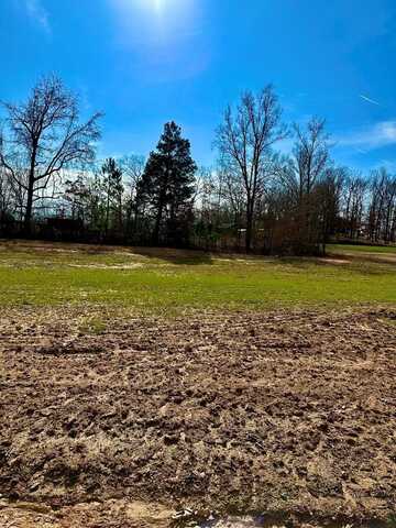 Lot 11 Abby Lane, HUNTINGDON, TN 38344