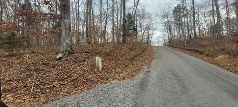 1 Tobaccoport Circle Lot 636, BUMPUS MILLS, TN 37028