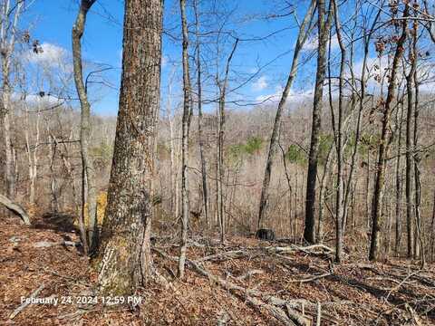 Lakeview Trail, HOLLADAY, TN 38341