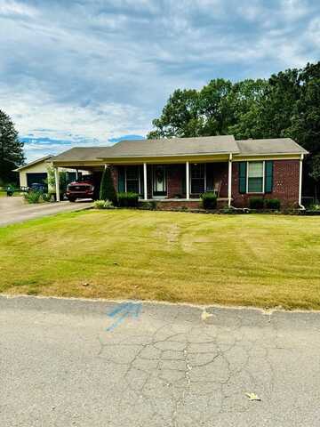 115 Massey, HOLLOW ROCK, TN 38342