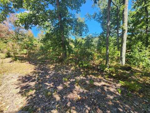 Wild Acres Rd, HOLLADAY, TN 38341