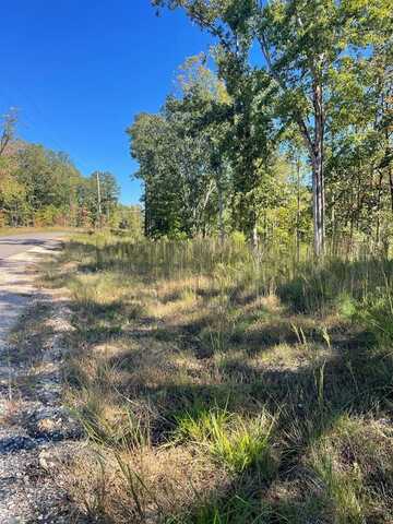 Lakepoint Dr (LOT 26), HUNTINGDON, TN 38344