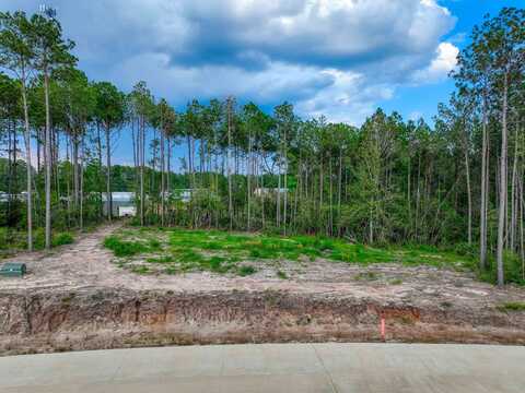 125 Rayburn Reserve Drive, Brookeland, TX 75951