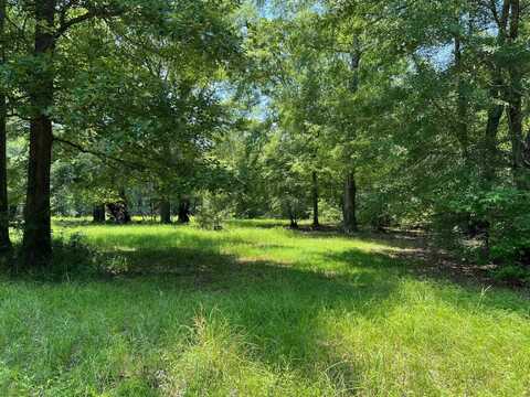 320 CR 2565, Shelbyville, TX 75973