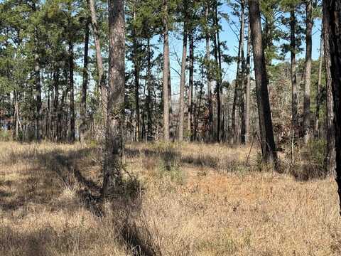 024 PR 6028, Brookeland, TX 75931