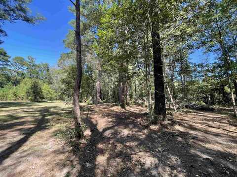 580 Dogwood Loop, Jasper, TX 75951