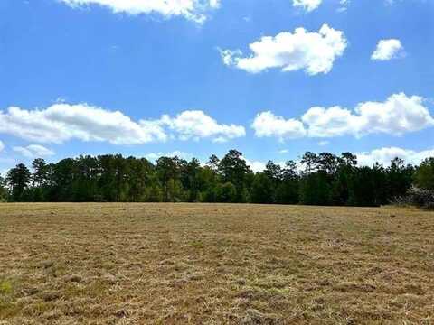 TBD Lakeland Ranch Lot 84, Hillister, TX 77624