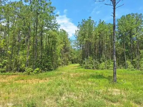 6811 Private Road 8235, Buna, TX 77612