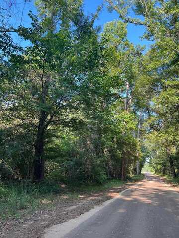 TBD County Road 87, Jasper, TX 75951