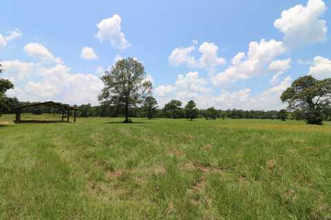 TBD Co. Rd. 3063, Kirbyville, TX 75956