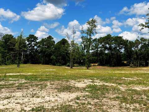 3868 E Texas State Highway 63, Jasper, TX 75951