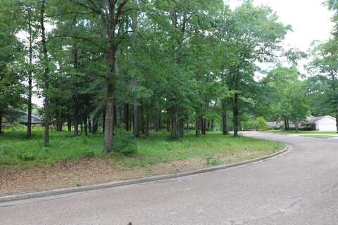 Lot 103 Hunterwood Dr., Jasper, TX 75951