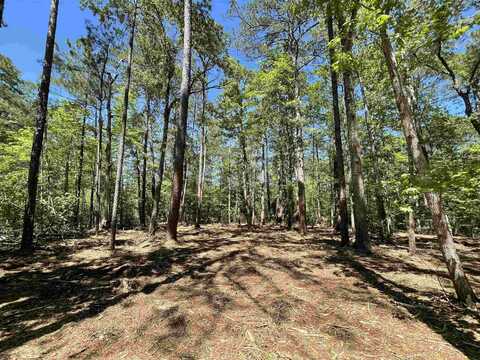 Lot 237 Senita Dr, Brookeland, TX 75931