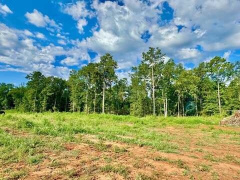 501 Old Tejas Trail W, Hemphill, TX 75948