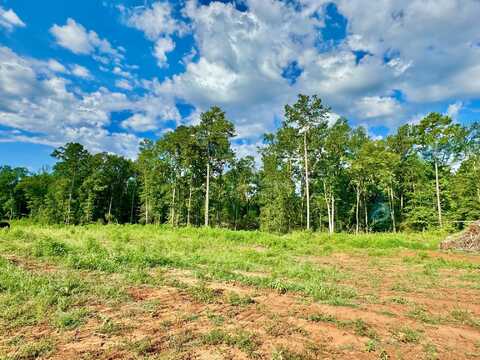 487 Old Tejas Traile West, Hemphill, TX 75948