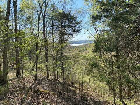 8.61 AC Willow Lane, ALLONS, TN 38541