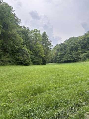 Roughshod Hollow Rd., Byrdstown, TN 38549