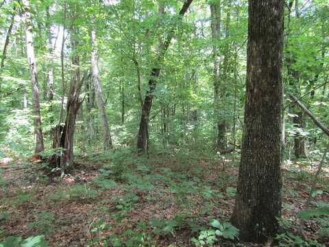 Lot 29 Davidson Drive, MONTEREY, TN 38574